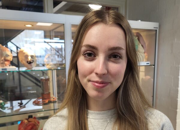 Gwen Verpleegkundige Hero Skills