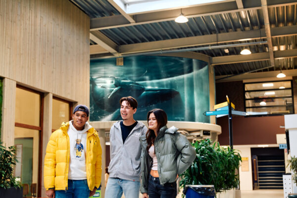 Mbo-studenten marketing staan in een groepje in de gang